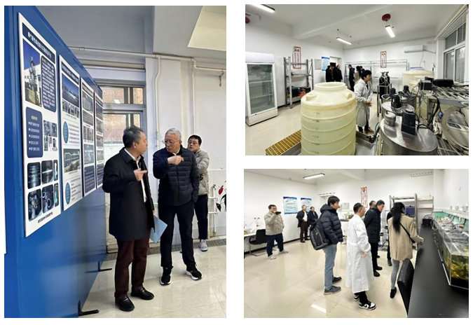 图片46.png 图片46.png